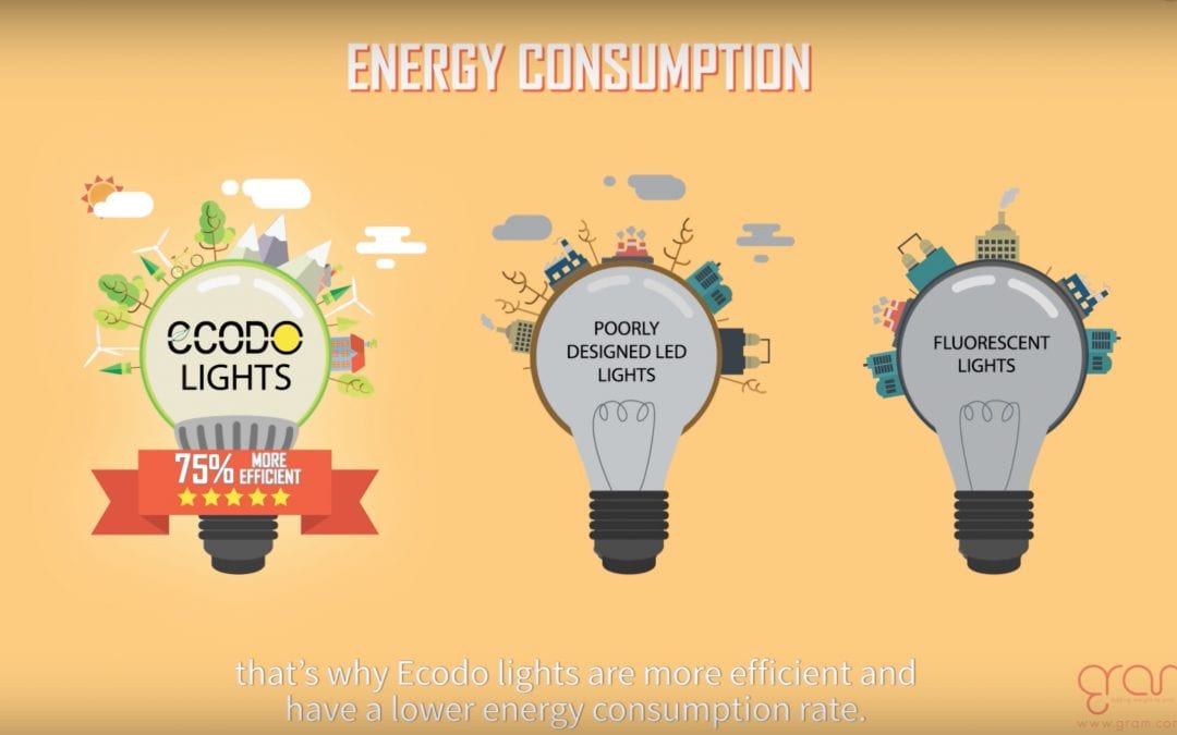 Ecodo LED Lightbulb Explainer Video