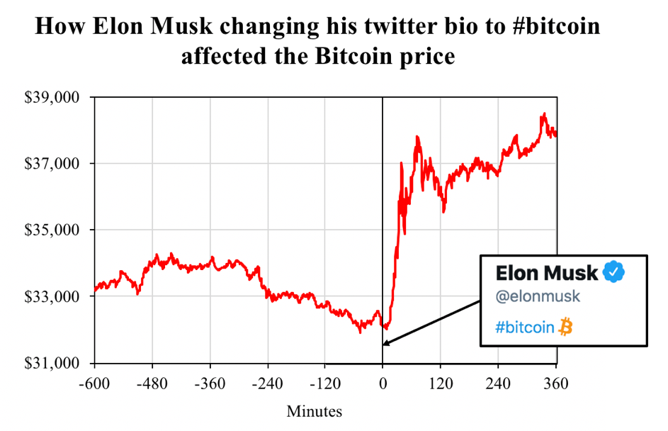 Elon Musk Crypto Influencer