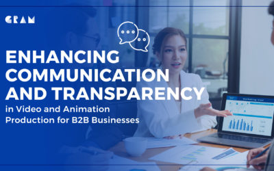 Enhancing Communication and Transparency in Video and  Animation Production for B2B Businesses